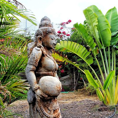 Finca Berolo 4 ギア・デ・イソラ エクステリア 写真