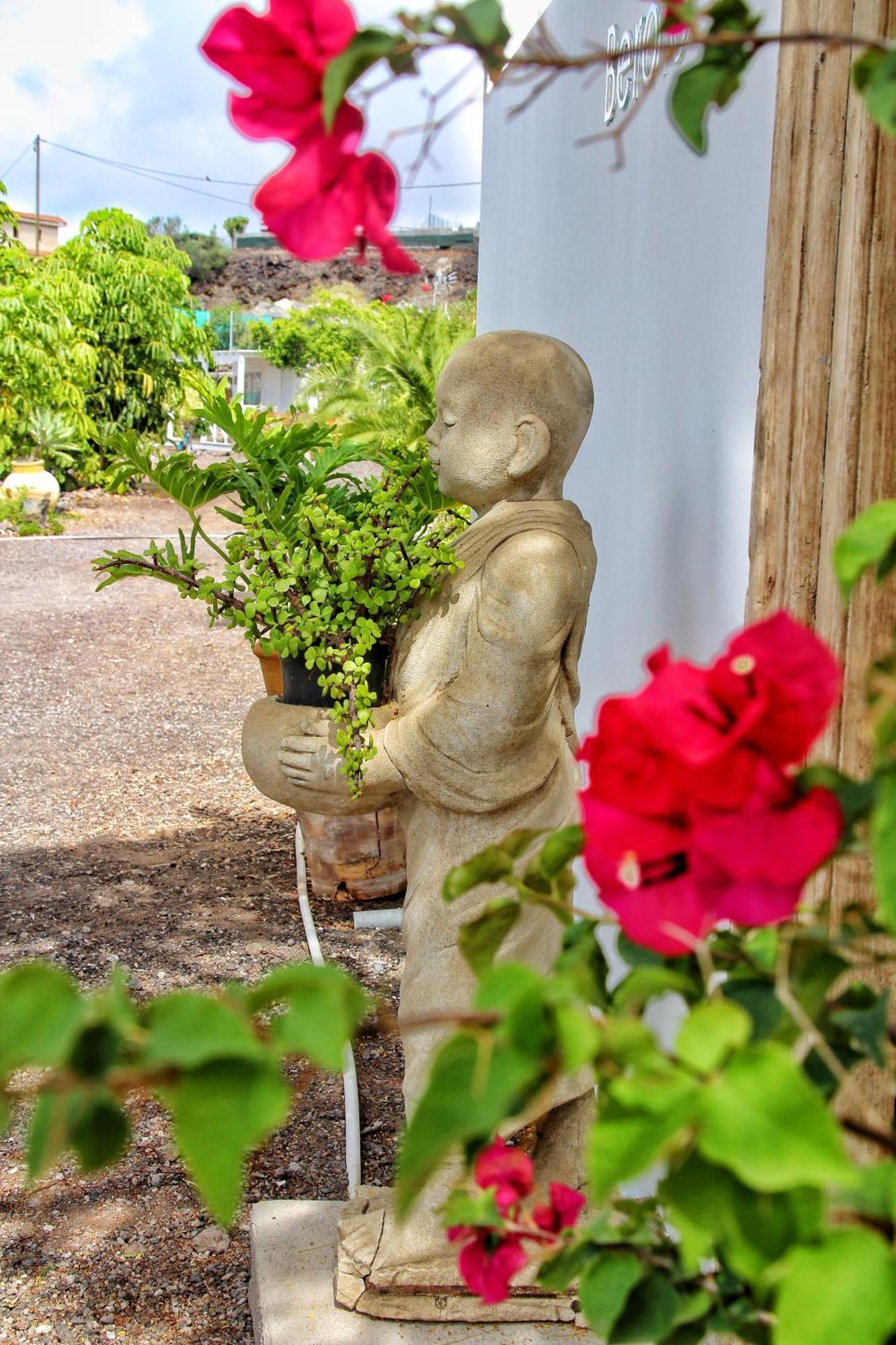 Finca Berolo 4 ギア・デ・イソラ エクステリア 写真