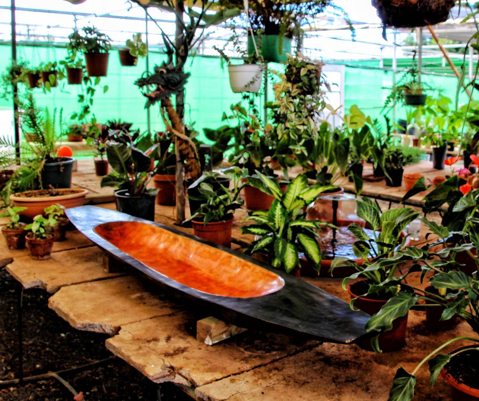Finca Berolo 4 ギア・デ・イソラ エクステリア 写真